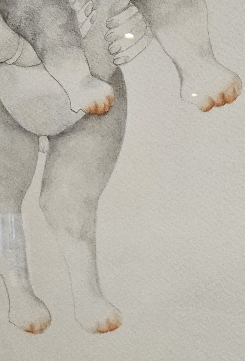 Fernando Botero Gato authentication evidence image 4