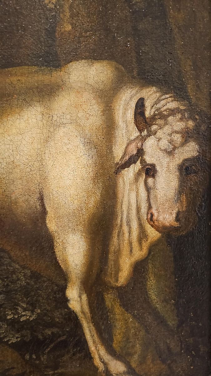 Historic & Old Master Cases Jupiter, Io and Juno authentication evidence image 8