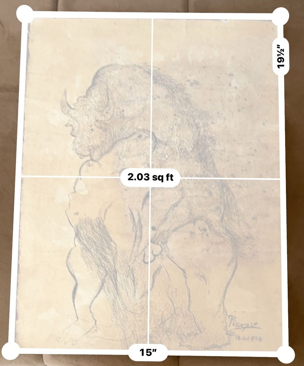 Pablo Picasso Woman and bull drawing authentication evidence image 1
