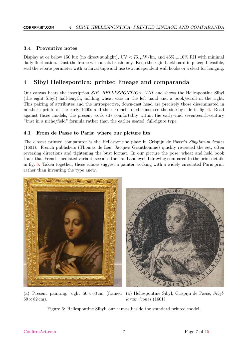 Sibila report sample page 7