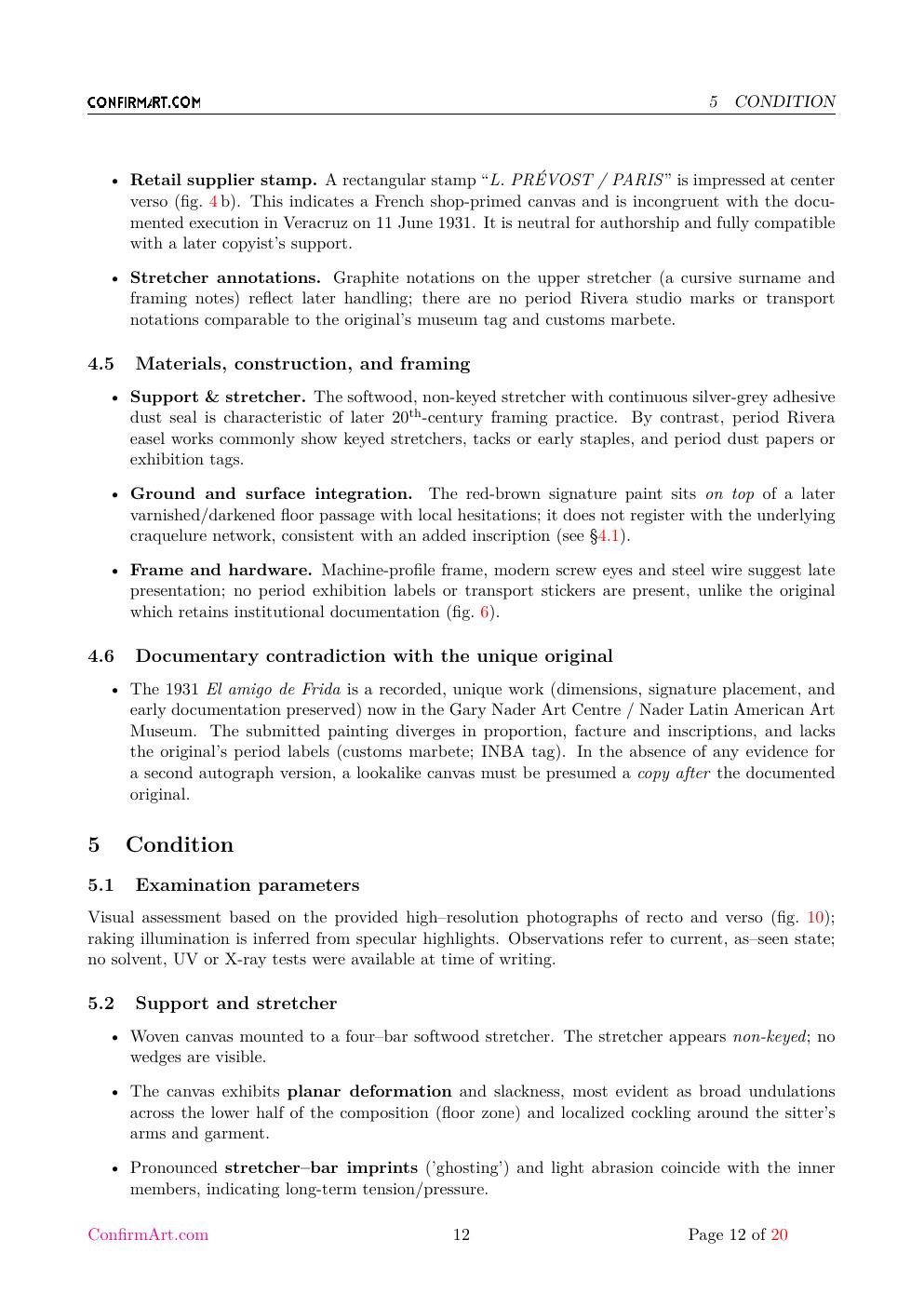 El amigo de Frida report sample page 12