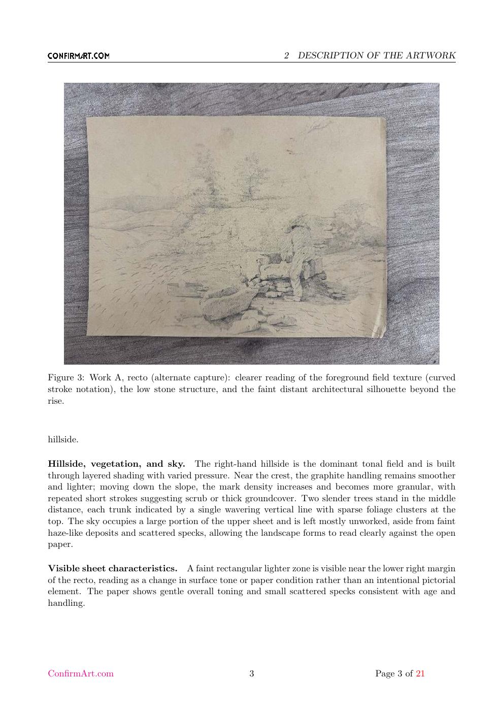 Van Gogh portrait study report sample page 3