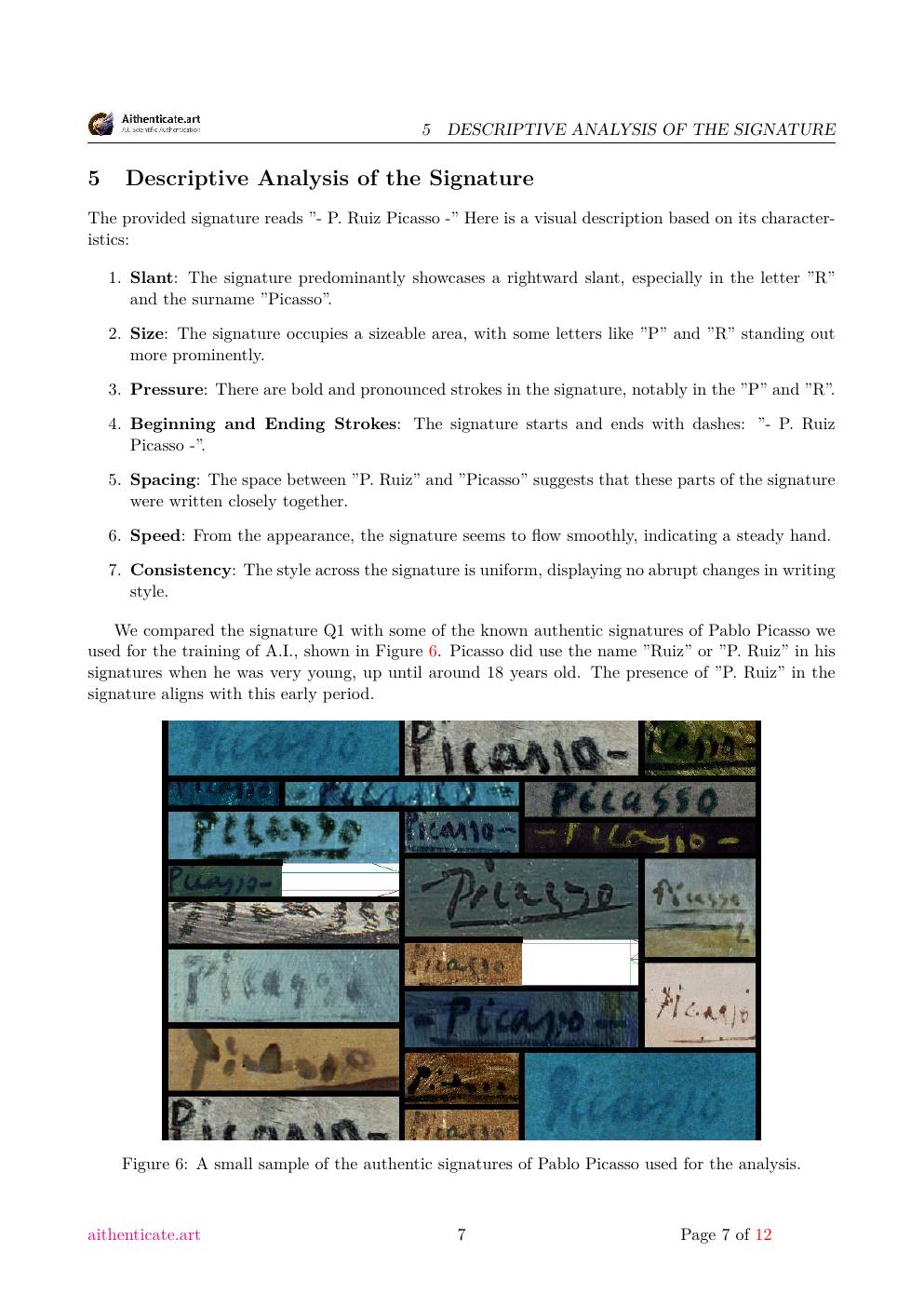 Picasso signature study report sample page 7