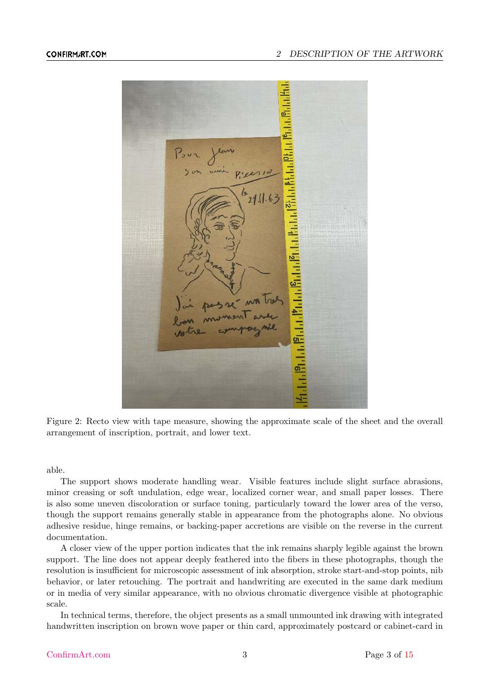 Picasso inscription study report sample page 3