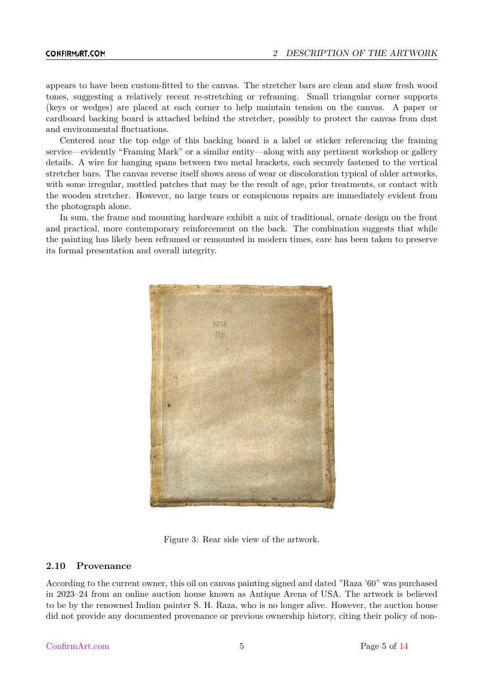 S. H. Raza painting study report sample page 5